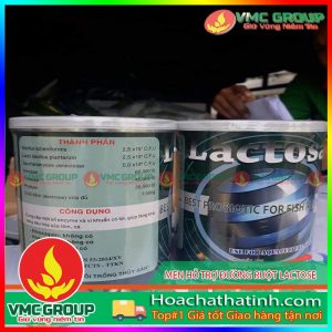 MEN TRỘN HỖ TRỢ ĐƯỜNG RUỘT LACTOSE HCVMHT