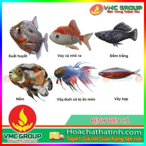 CÁC BỆNH THƯỜNG GẶP Ở CÁ