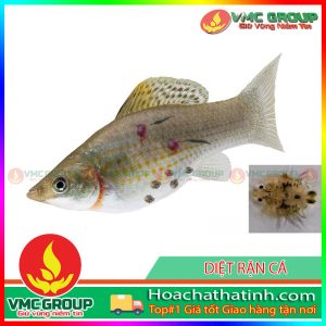 DIỆT RẬN CÁ HCVMHT