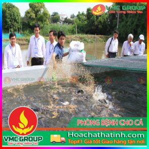 ÁC BIỆN PHÁP HỮU HIỆU PHÒNG NGỪA BỆNH Ở CÁ BIỂN NUÔI LỒNG