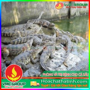 PHÒNG VÀ TRỊ BỆNH CHO CÁ SẤU